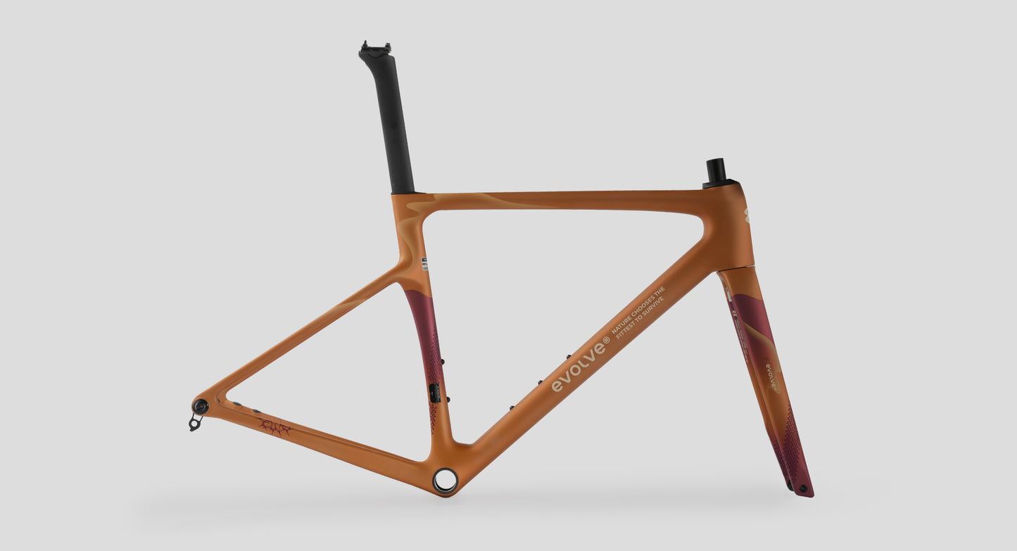Evolve CIMA Frameset