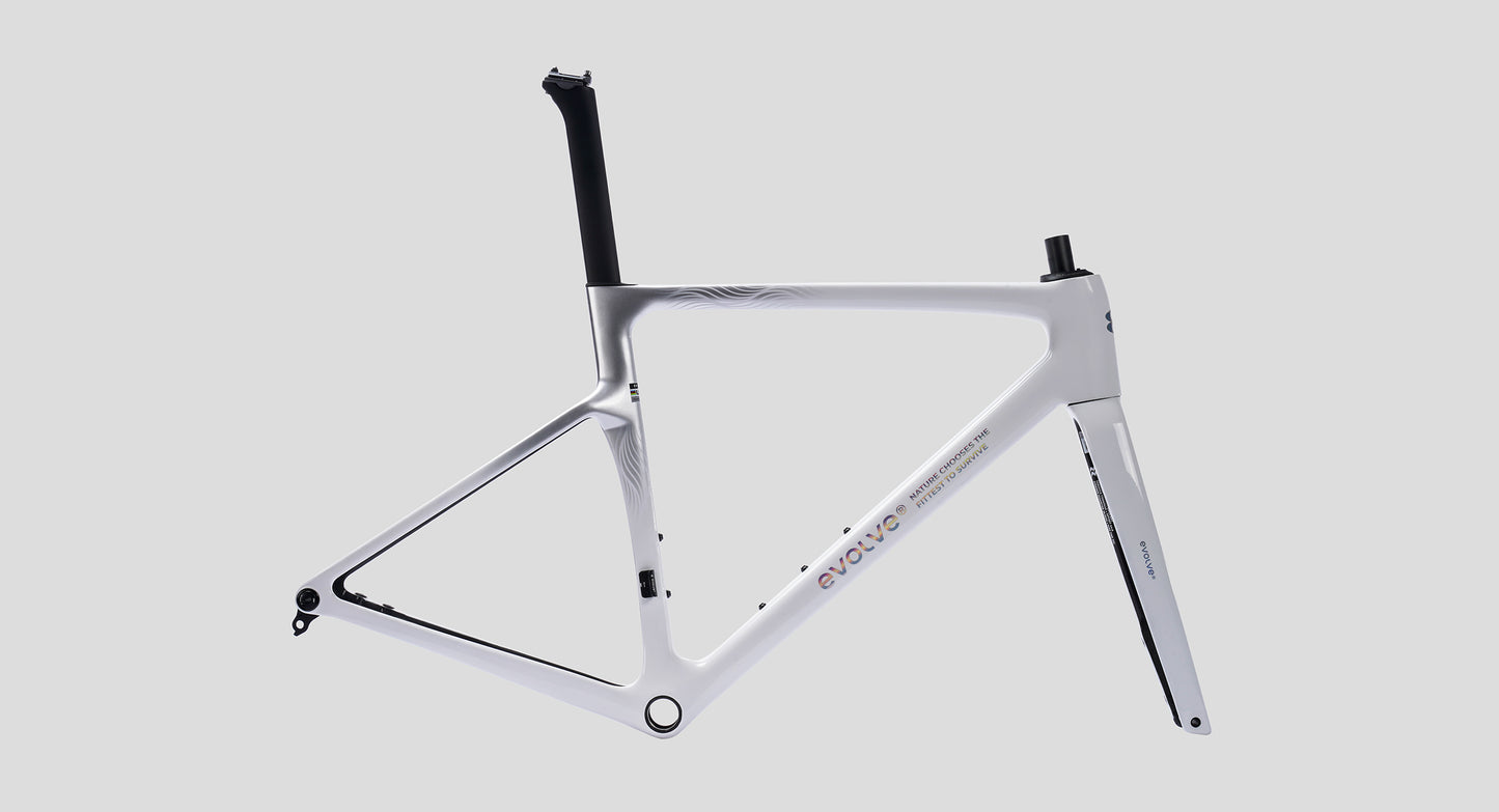 Evolve CIMA Frameset