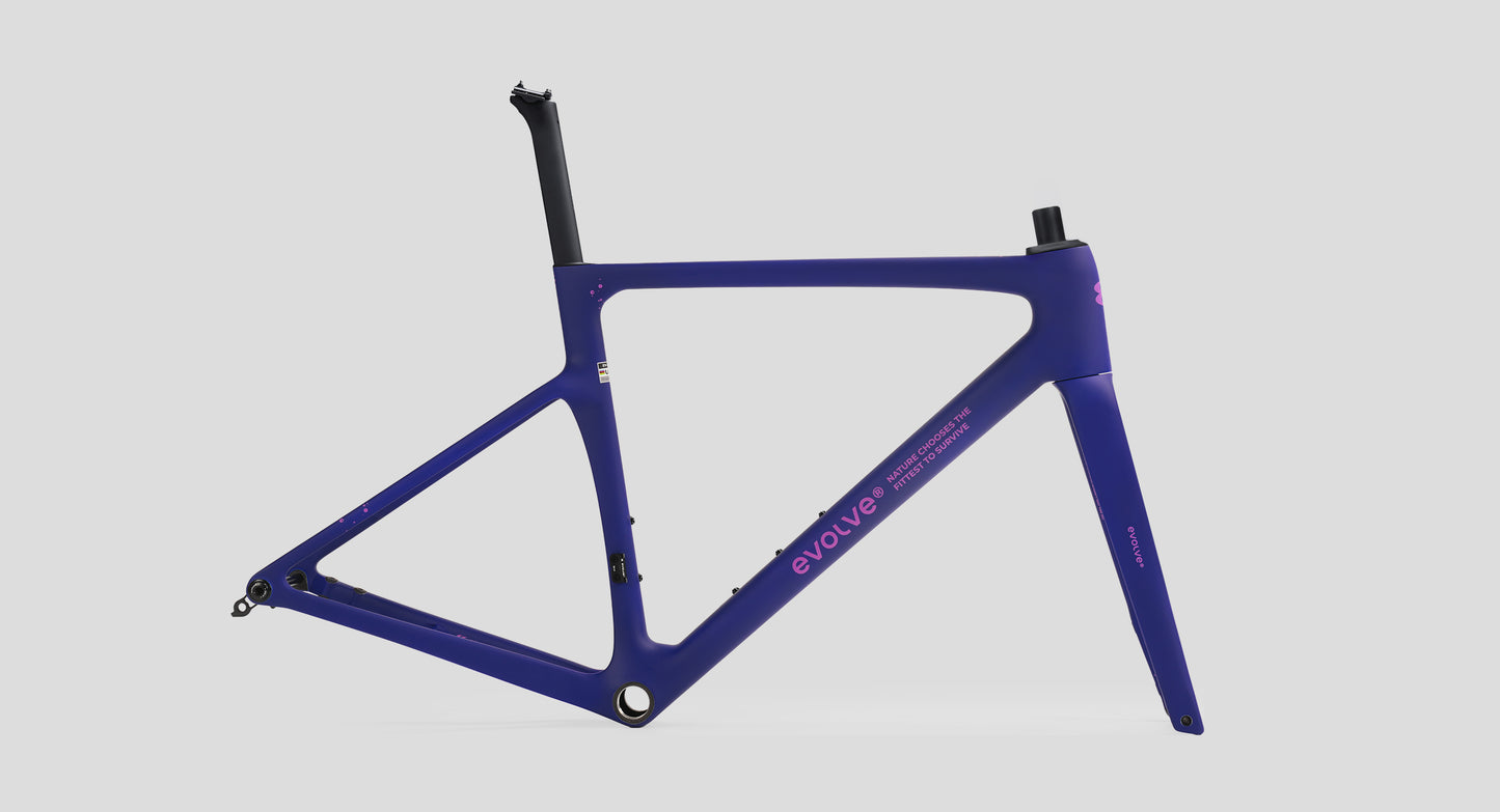 Evolve CIMA Frameset