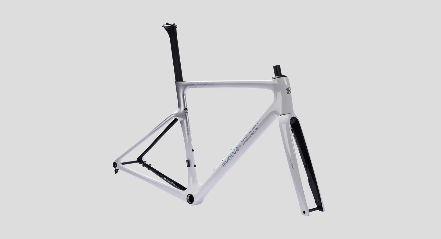 Evolve CIMA Frameset