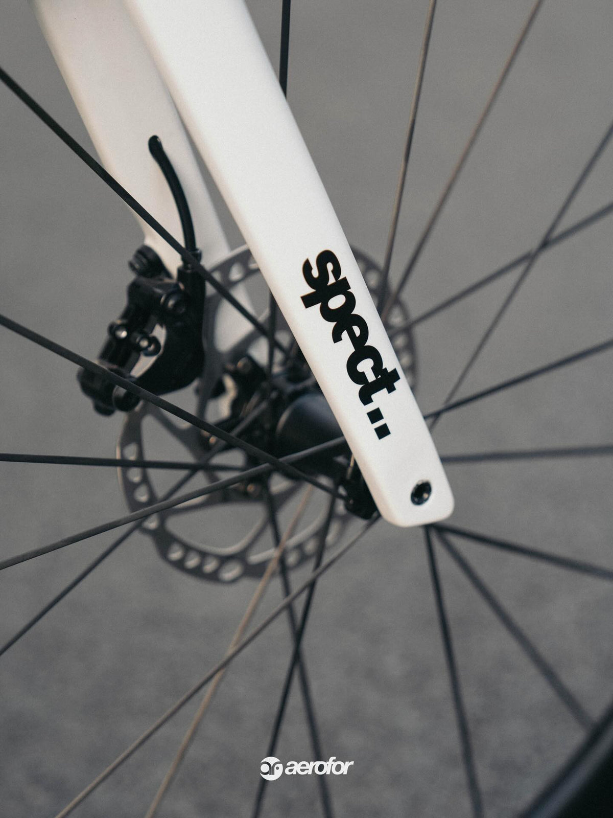 Spect Strada All-Round Road Frameset
