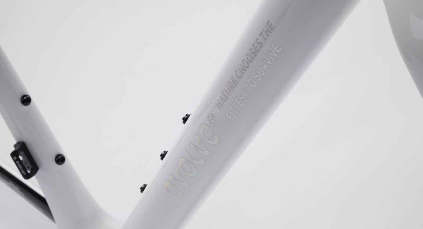 Evolve CIMA Frameset
