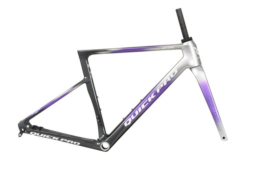 Quick Pro AR:ONE Carbon Road Bike Frameset | UCI Approved | Custom Paint