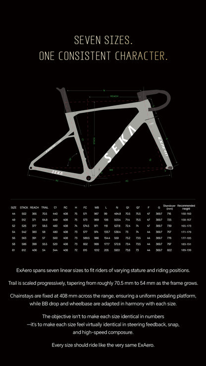 Seka ExAero Standard Aero Road Frameset