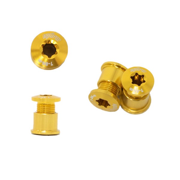 Cybrei 2X Chainring Bolt Kit | 5 Pieces