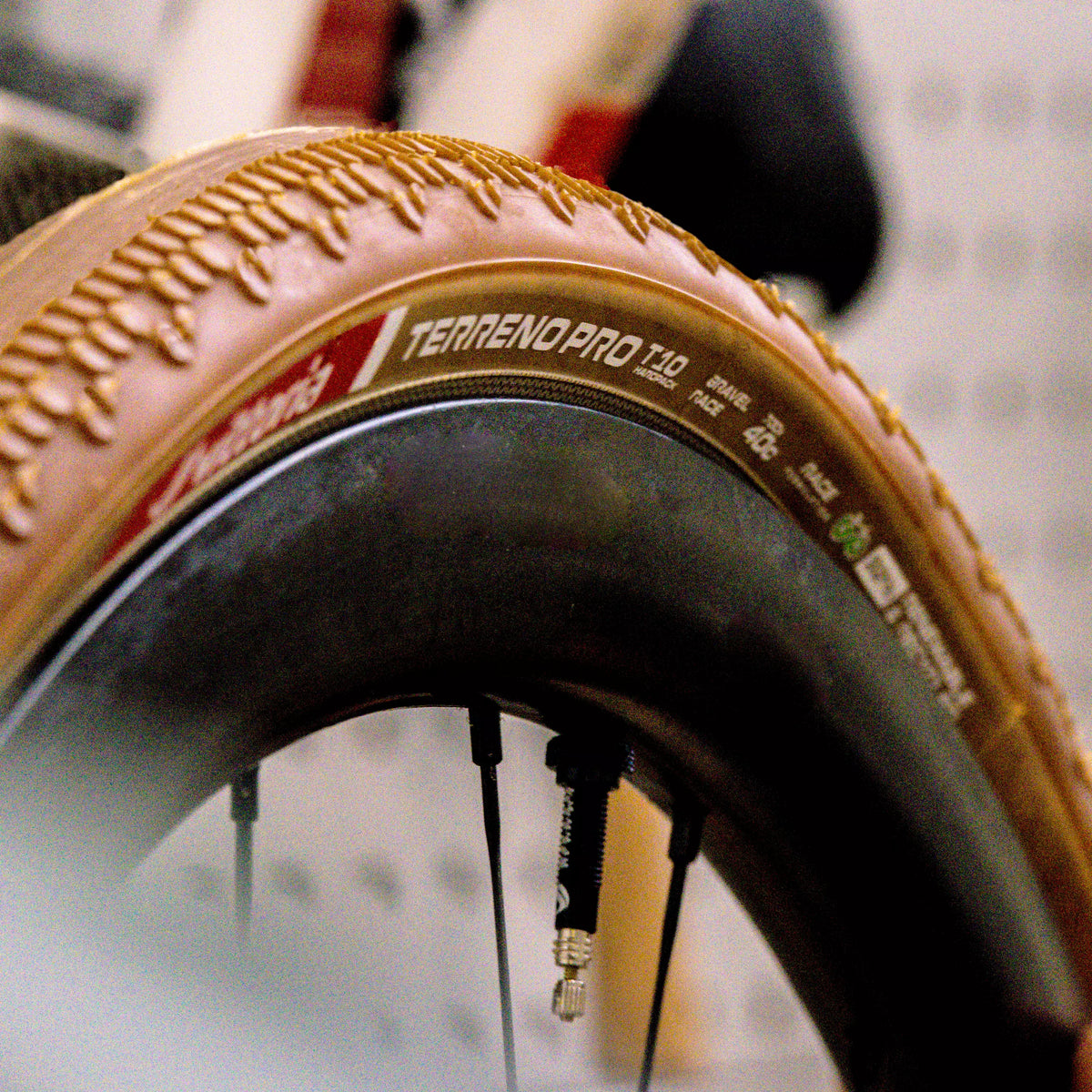 Vittoria Terreno PRO T10 sidewall close-up